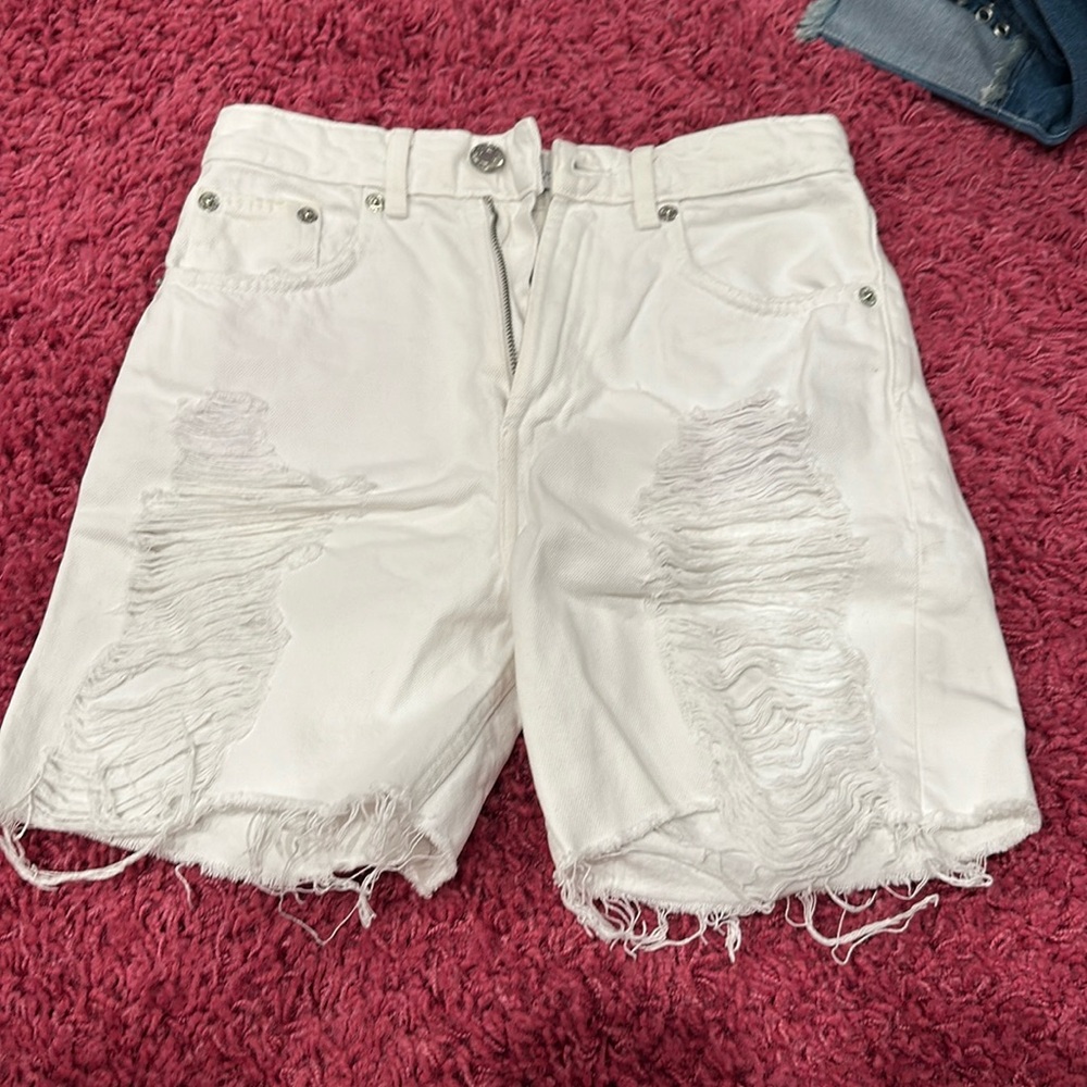 Zara Shorts